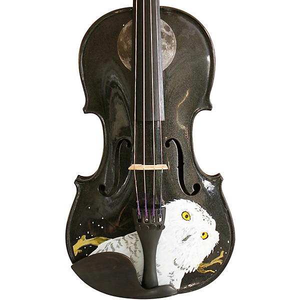 Rozanna's Violins Mystic Owl Black Glitter Series Violin Outfit 3/4