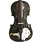 Rozanna's Violins Mystic Owl Black Glitter Series Violin Outfit 3/4