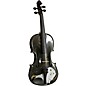 Rozanna's Violins Mystic Owl Black Glitter Series Violin Outfit 1/2