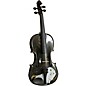 Rozanna's Violins Mystic Owl Black Glitter Series Violin Outfit 1/4