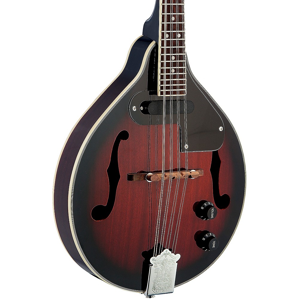 rogue acoustic electric mandolin