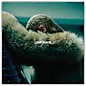 Beyonce - Lemonade LP thumbnail