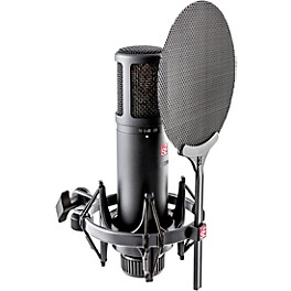 sE Electronics sE2200 Large-Diaphragm Condenser Microphone