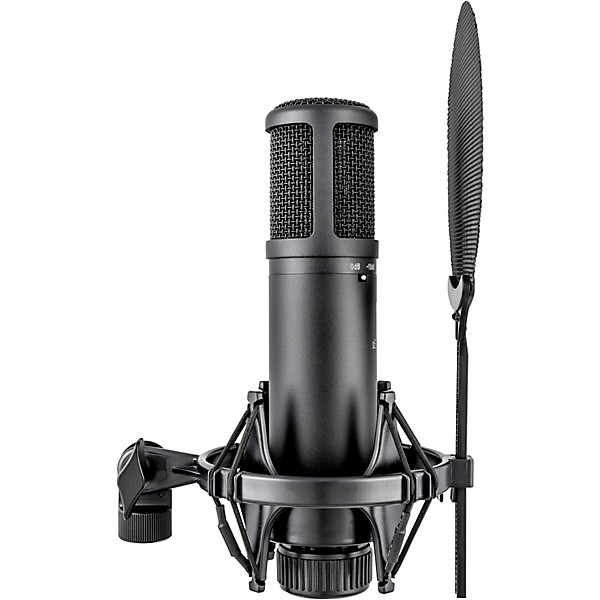 sE Electronics sE2200 Large-Diaphragm Condenser Microphone