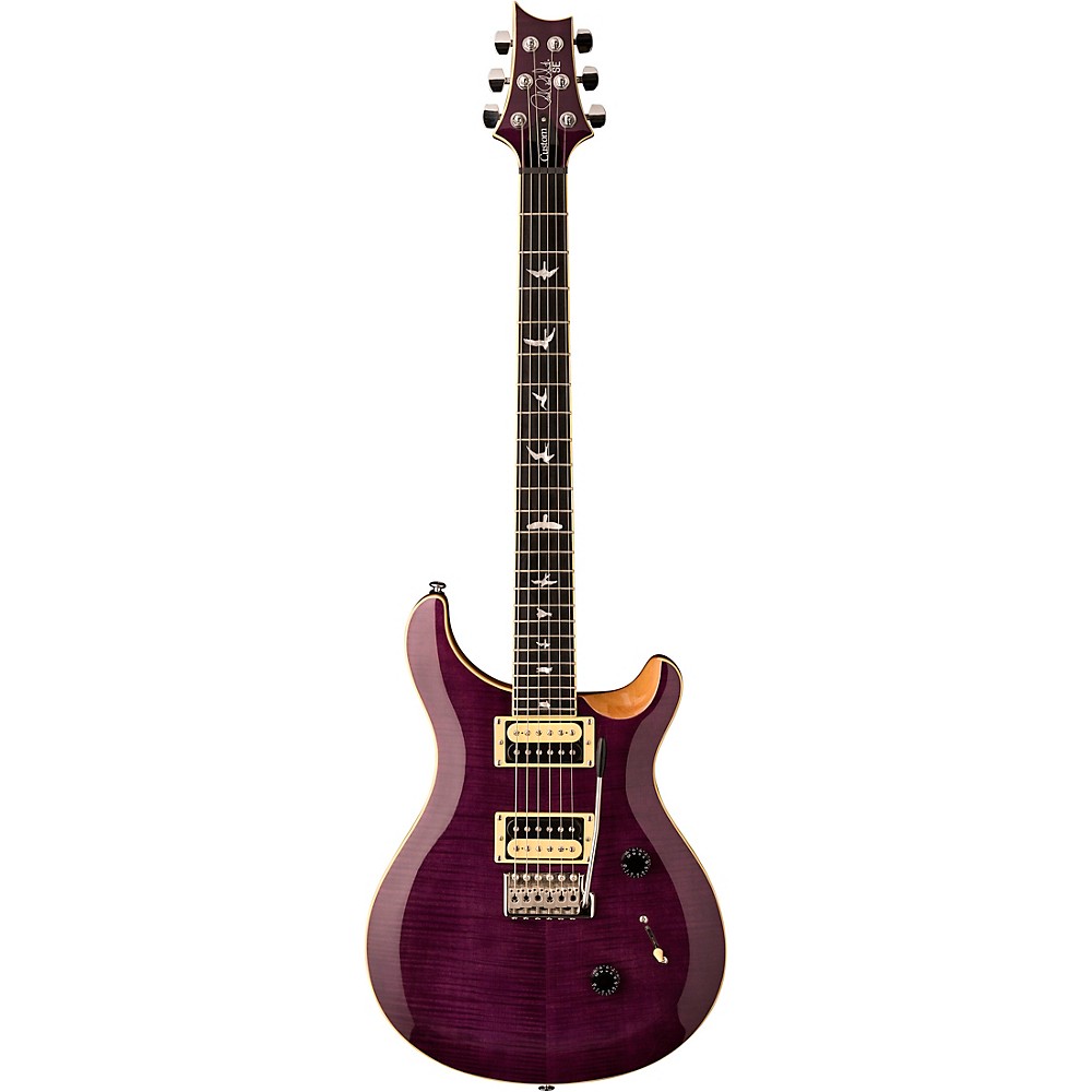 UPC 825362606291 product image for Prs Se Custom 24 Electric Guitar Amethyst | upcitemdb.com