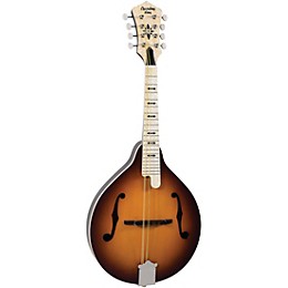 Open Box Recording King Century33 Limited Edition RAC-9-TS
