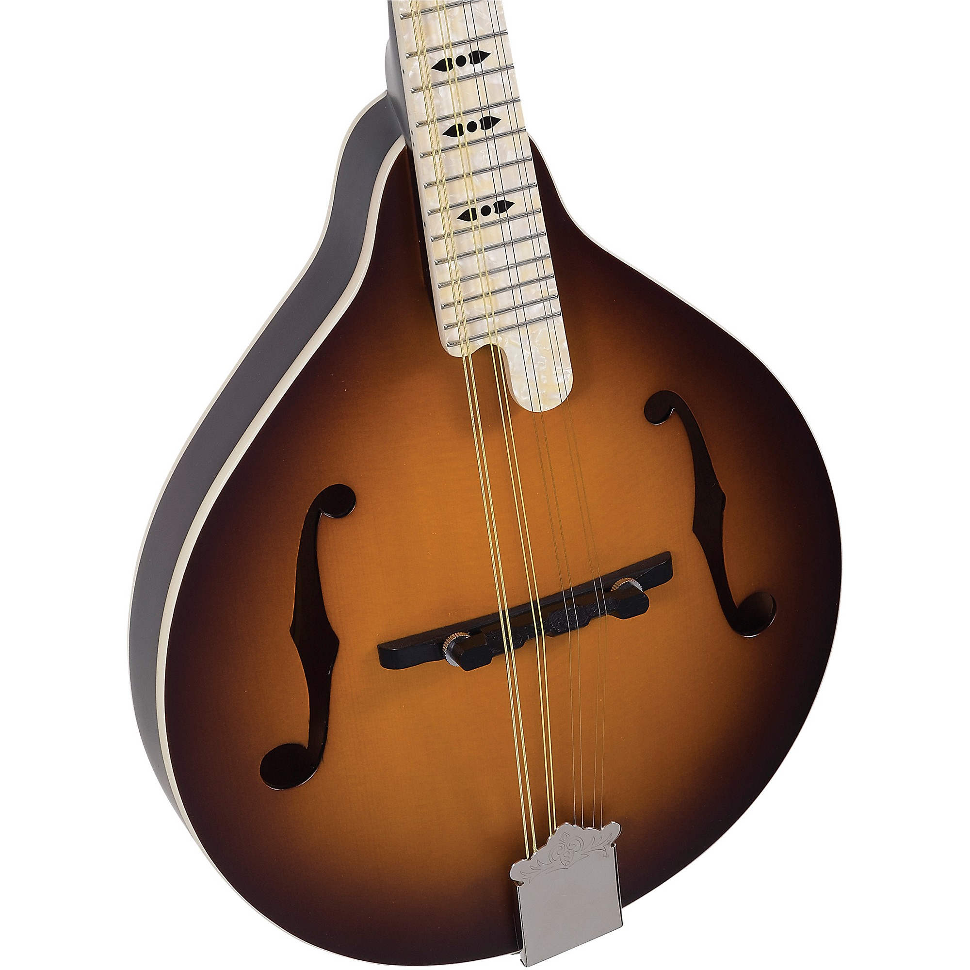 Open Box Recording King Century33 Limited Edition RAC-9-TS