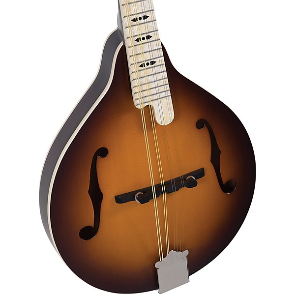 Open Box Recording King Century33 Limited Edition RAC-9-TS