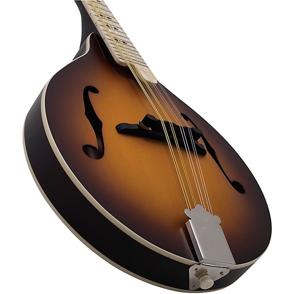 Open Box Recording King Century33 Limited Edition RAC-9-TS