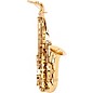 Open Box Theo Wanne SHAKTI Professional Alto Saxophone Level 2 Dark Gold Lacquer 190839906670 thumbnail
