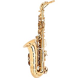 Open Box Theo Wanne SHAKTI Professional Alto Saxophone Level 2 Dark Gold Lacquer 190839906670