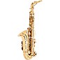 Open Box Theo Wanne SHAKTI Professional Alto Saxophone Level 2 Dark Gold Lacquer 190839906670