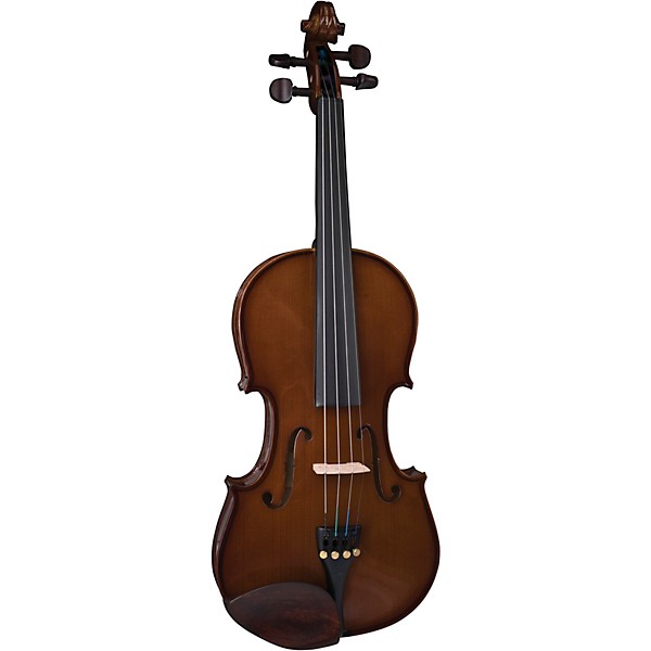 Stentor 1400 Student I Series Violin Outfit 1/10