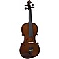 Stentor 1400 Student I Series Violin Outfit 1/10