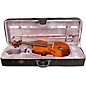 Stentor 1038 Student I Series Viola Outfit 14 in. thumbnail