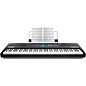 Open Box Alesis Recital Pro 88-Key Digital Piano Level 1