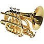 Phaeton PHTP-3000 Custom Series Bb Pocket Trumpet Gold Lacquer thumbnail