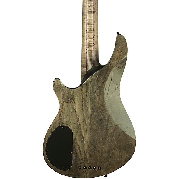Schecter Guitar Research C-5 Apocalypse 5-String Electric
