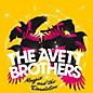 Avett Brothers - Magpie & the Dandelion thumbnail