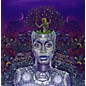 Erykah Badu - New Amerykah Part Two: Return of the Ankh thumbnail