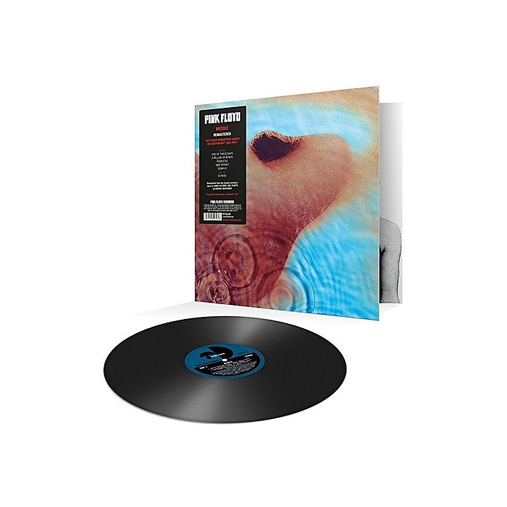 Pink Floyd Meddle Vinyl