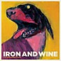 Iron & Wine - The Shepherd's Dog thumbnail