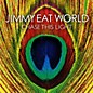Jimmy Eat World - Chase This Light thumbnail