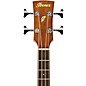 Ibanez PNB14E Parlor Acoustic-Electric Bass Guitar Natural