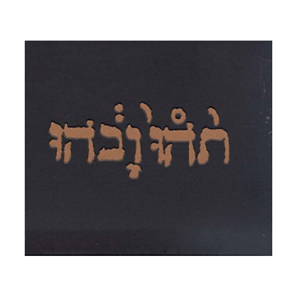 Godspeed You! Black Emperor - Slow Riot for New Zero Kanada