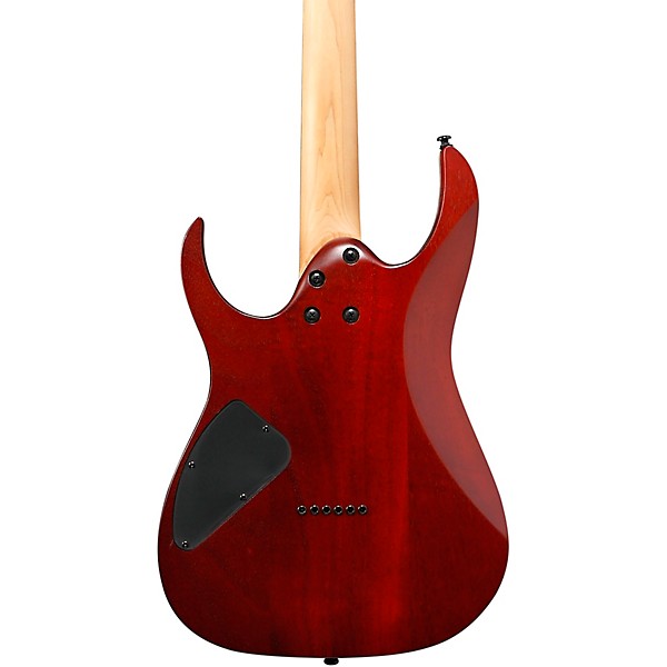 Open Box Ibanez RGEW521FM RG Series Electric Guitar Flat Natural
