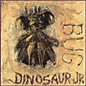 Dinosaur Jr. - Bug thumbnail