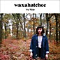 Waxahatchee - Ivy Tripp thumbnail