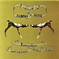 Modest Mouse - Everywhere & His Nasty Parlor thumbnail