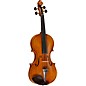 Open Box Ren Wei Shi Master Series Guarneri del Gesu 1743 Bench Copy Violin Level 2 4/4 194744125645 thumbnail