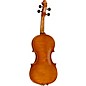 Ren Wei Shi Master Series Guarneri del Gesu 1743 Bench Copy Violin 4/4