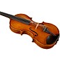 Ren Wei Shi Master Series Guarneri del Gesu 1743 Bench Copy Violin 4/4