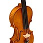 Ren Wei Shi Master Series Guarneri del Gesu 1743 Bench Copy Violin 4/4