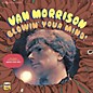 Van Morrison - Blowing Your Mind thumbnail