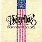 Deer Tick - Born On Flag Day thumbnail