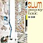 Gregory Isaacs - Slum in Dub thumbnail