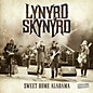 Lynyrd Skynyrd - Sweet Home Alabama Live at Rockpalast thumbnail
