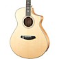 Open Box Breedlove Stage Exotic Concert Acoustic-Electric Guitar Level 2 High Gloss Natural 190839778550 thumbnail
