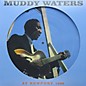 Muddy Waters - At Newport thumbnail