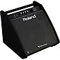 Roland PM-200 V-Drum Speaker System thumbnail