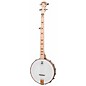 Deering Goodtime Acoustic-Electric Banjo