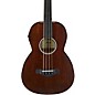Open Box Ibanez AVNB1FE Artwood Vintage Parlor Solid-Top Acoustic-Electric Bass Level 2 Open Pore Natural 190839743244 thumbnail