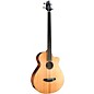 Open Box Breedlove Solo Jumbo Bass Acoustic-Electric Guitar Level 2 Gloss Natural 190839775429
