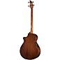 Open Box Breedlove Solo Jumbo Bass Acoustic-Electric Guitar Level 2 Gloss Natural 190839775429
