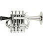 Cool Wind CPT-200 Metallic Series Plastic Bb/A Piccolo Trumpet Silver thumbnail