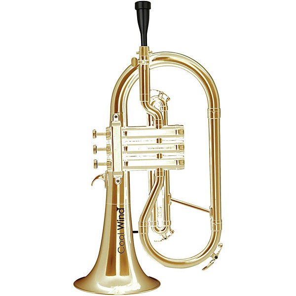 Cool Wind CFG-200 Metallic Series Plastic Bb Flugelhorn Lacquer